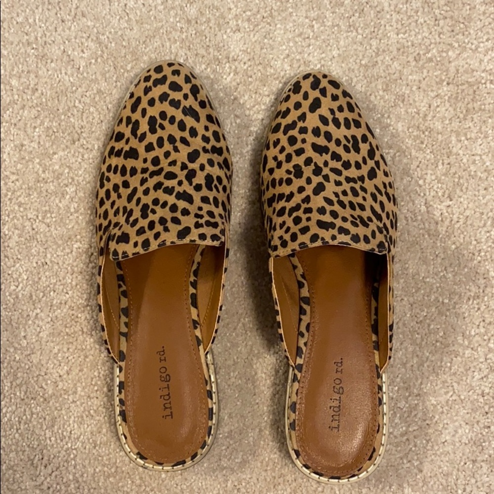 Indigo Rd. Mules